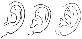 Figure 8