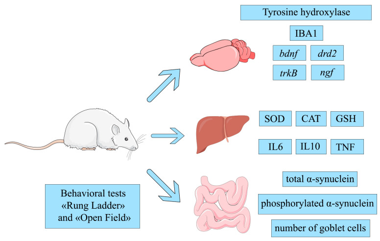 Figure 21