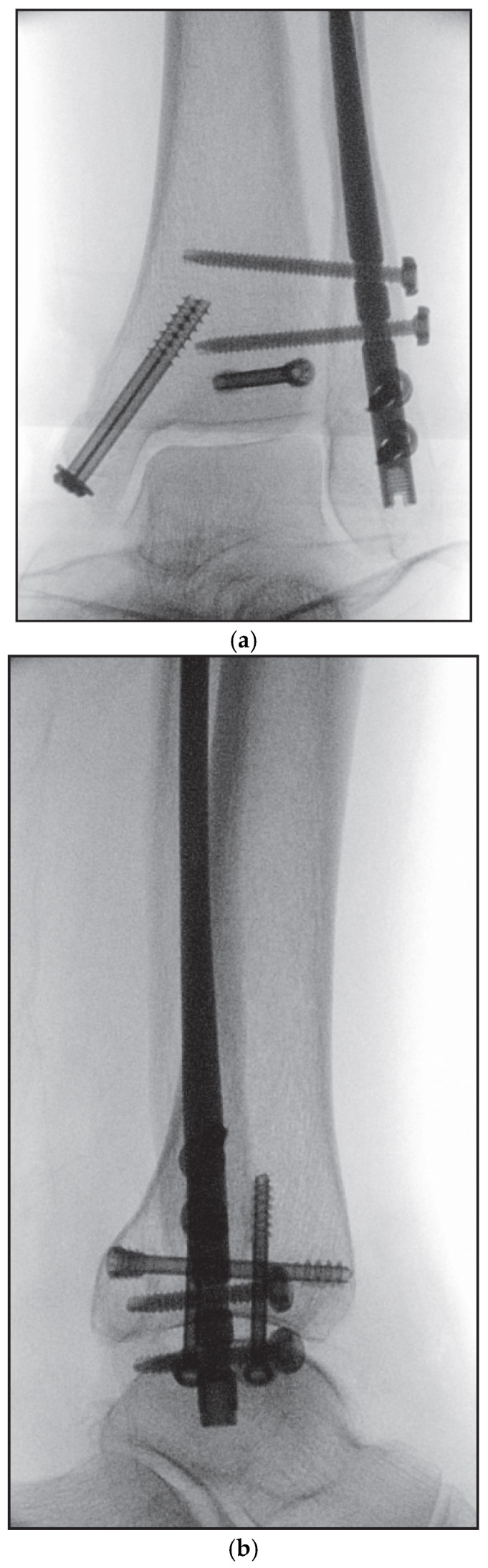 Figure 8