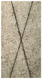 Figure 19