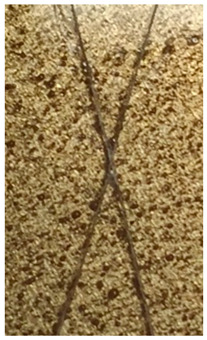 Figure 21