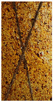 Figure 29