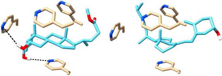 Figure 11