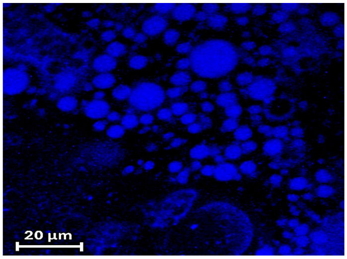 Figure 10