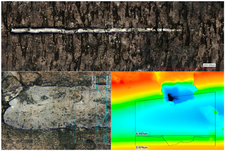 Figure 10