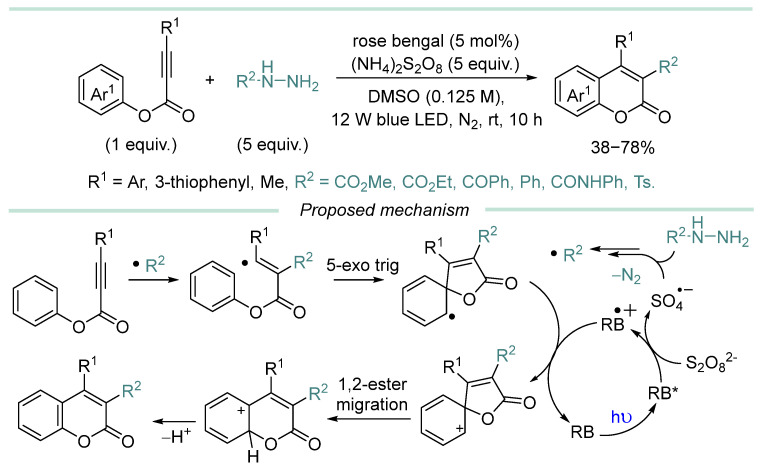 Figure 33