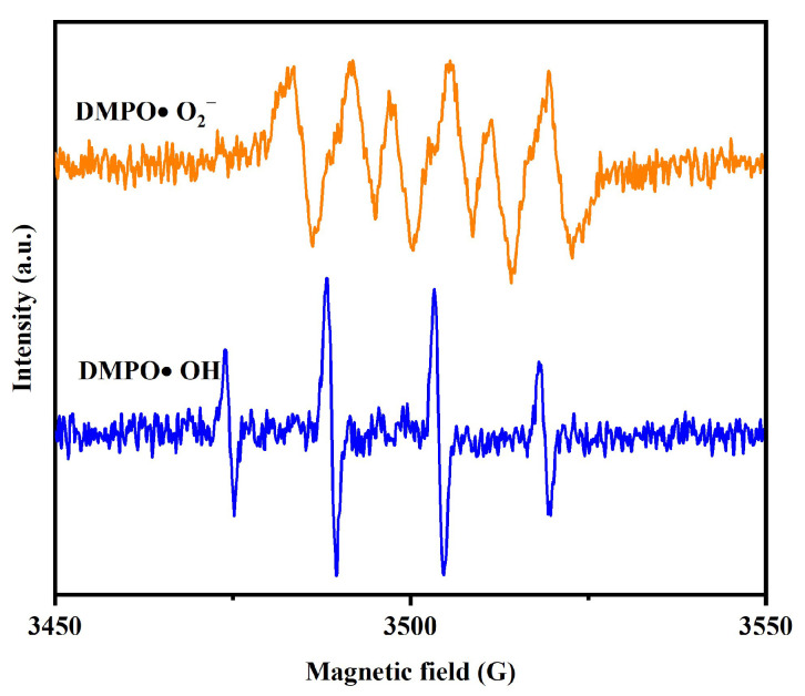Figure 16