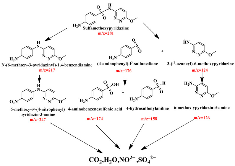 Figure 19