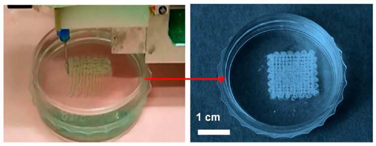 Figure 9