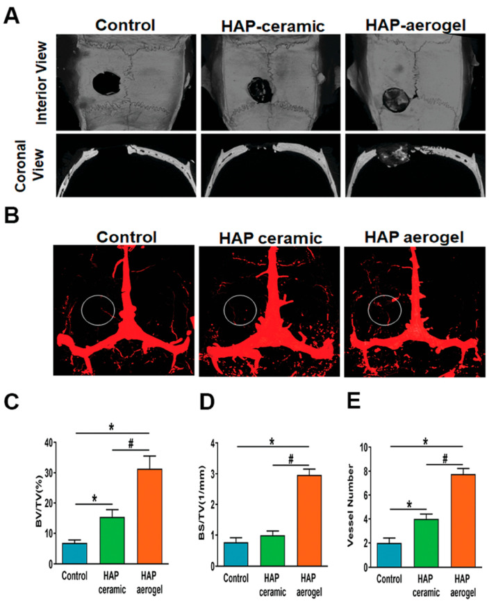 Figure 12