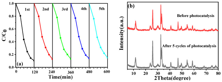 Figure 13