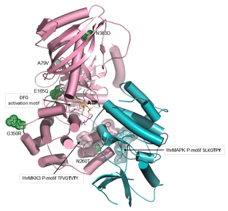 Figure 7