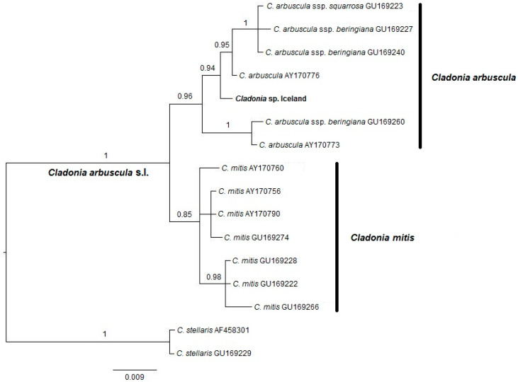 Figure 2