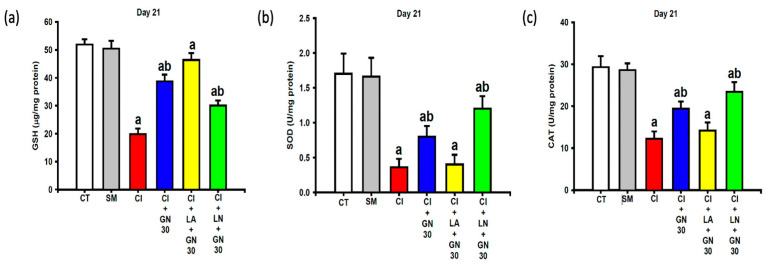 Figure 12