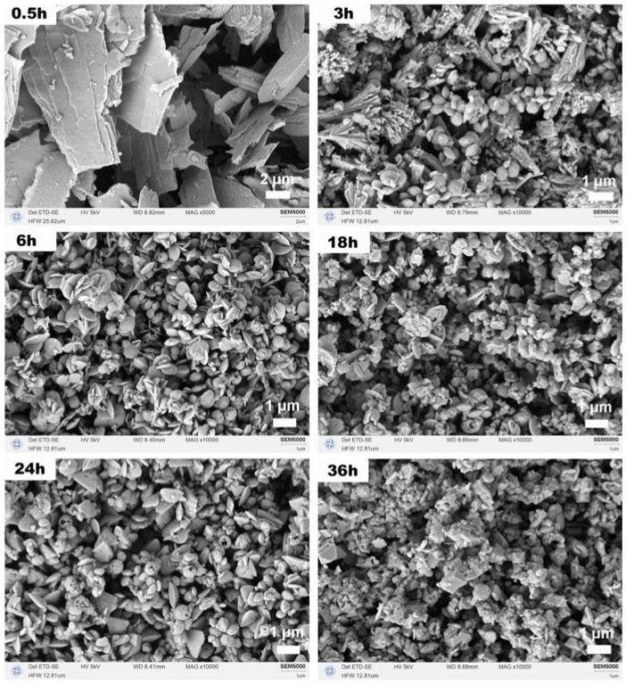 Figure 9