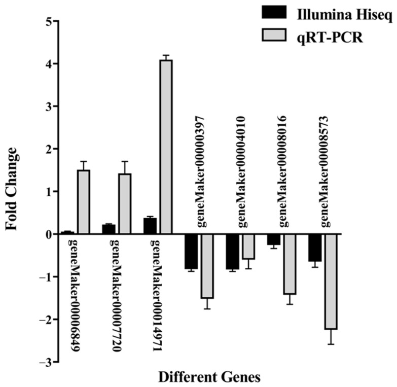 Figure 7