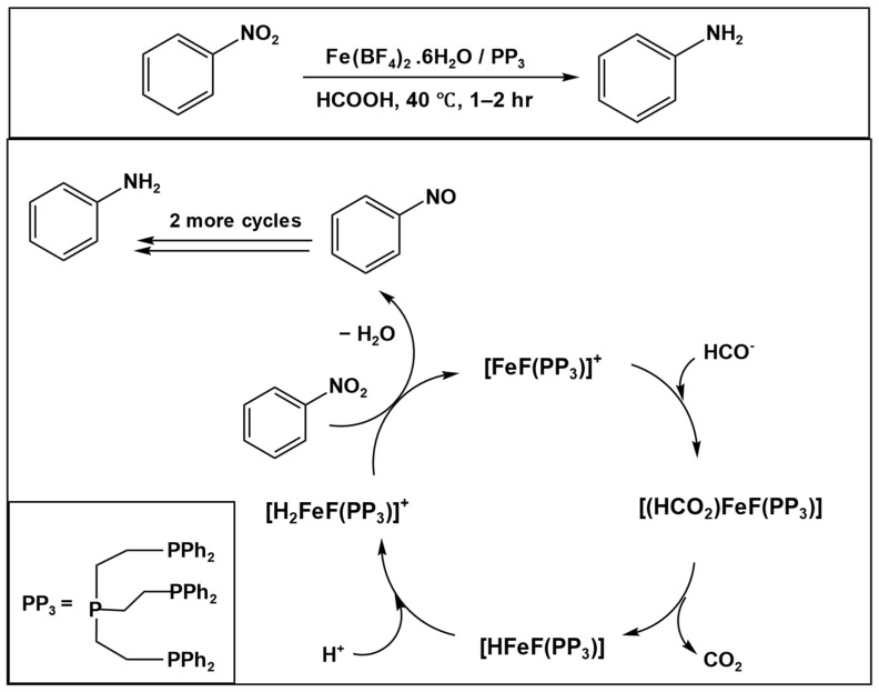 Figure 23