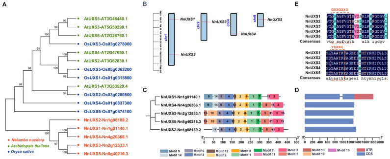 Figure 1