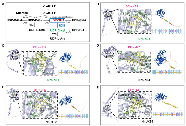 Figure 4