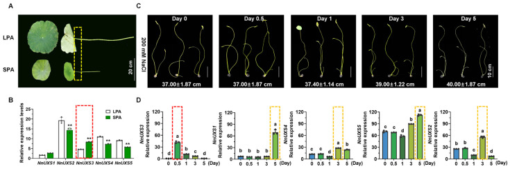 Figure 5