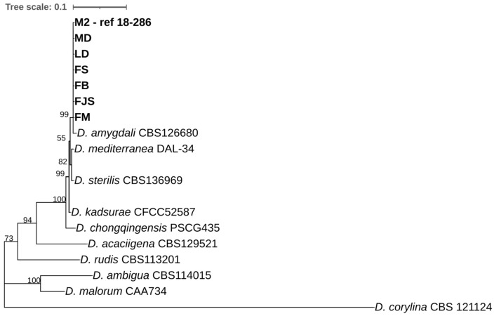 Figure 5