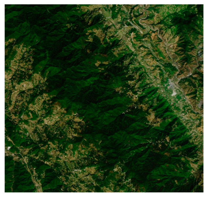 Figure 9