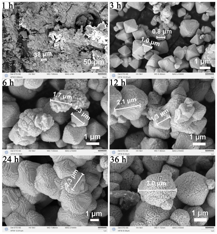 Figure 6