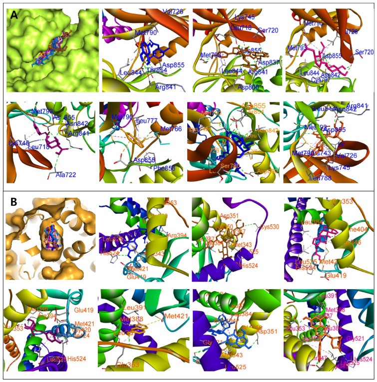 Figure 9