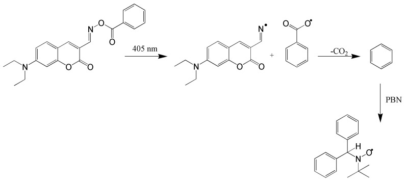 Figure 8