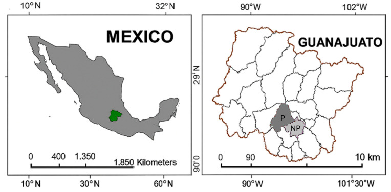 Figure 9