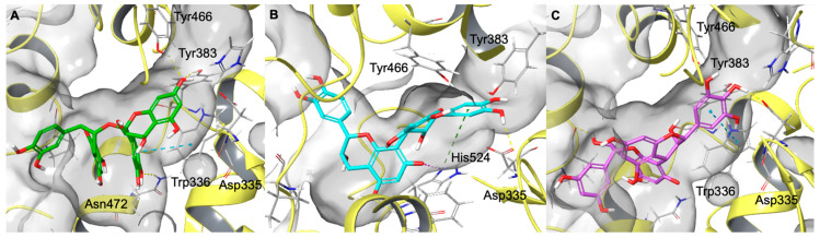 Figure 6