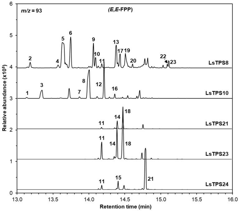 Figure 6