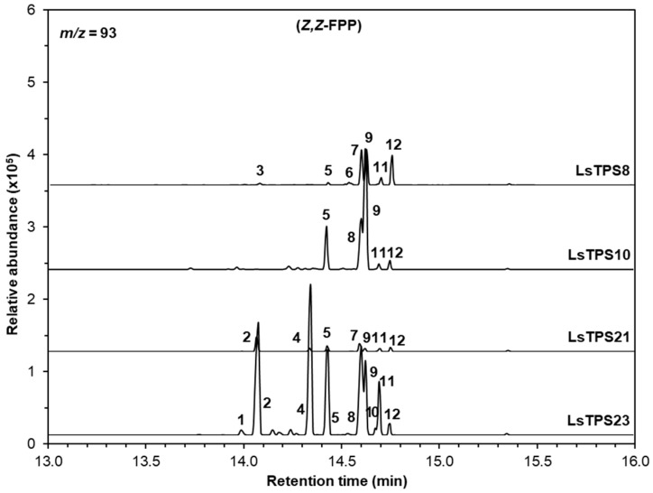 Figure 7