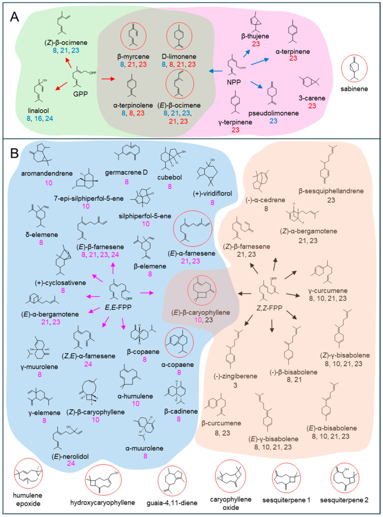 Figure 9