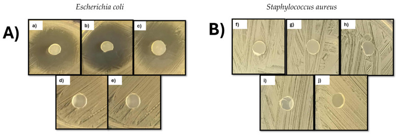 Figure 13