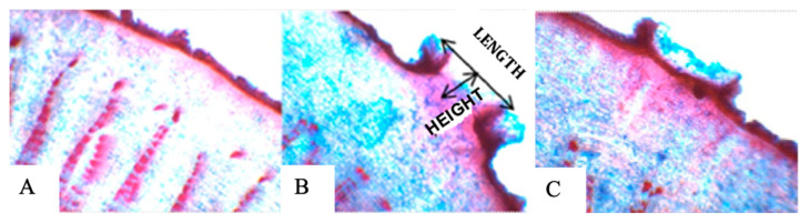 Figure 10