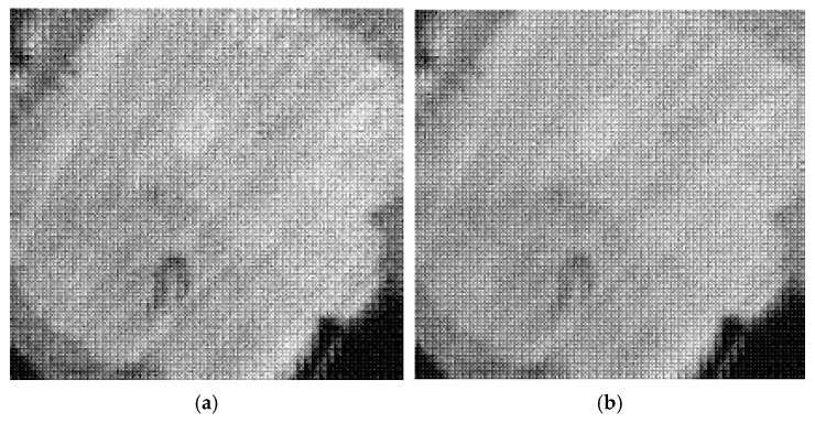 Figure 12