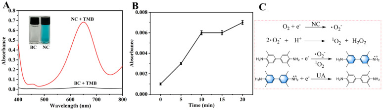 Figure 9