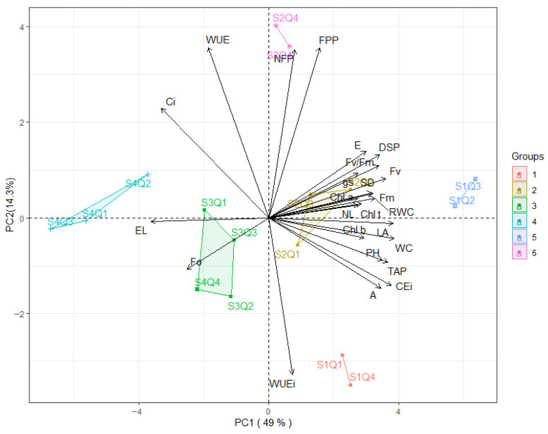 Figure 12