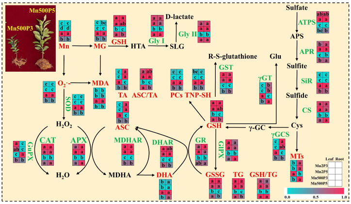 Figure 7