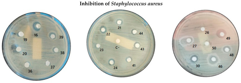 Figure 6
