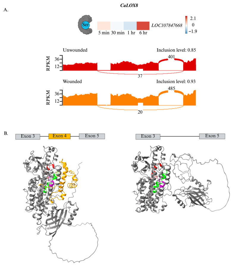 Figure 6