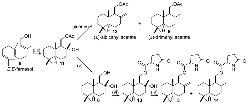 Scheme 3