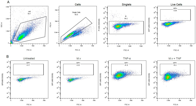 Figure 7