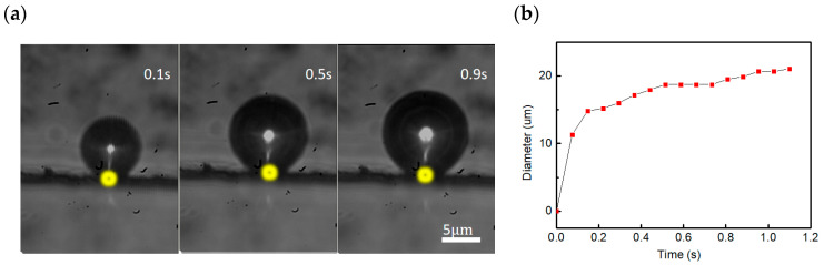 Figure 7