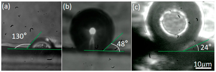 Figure 9