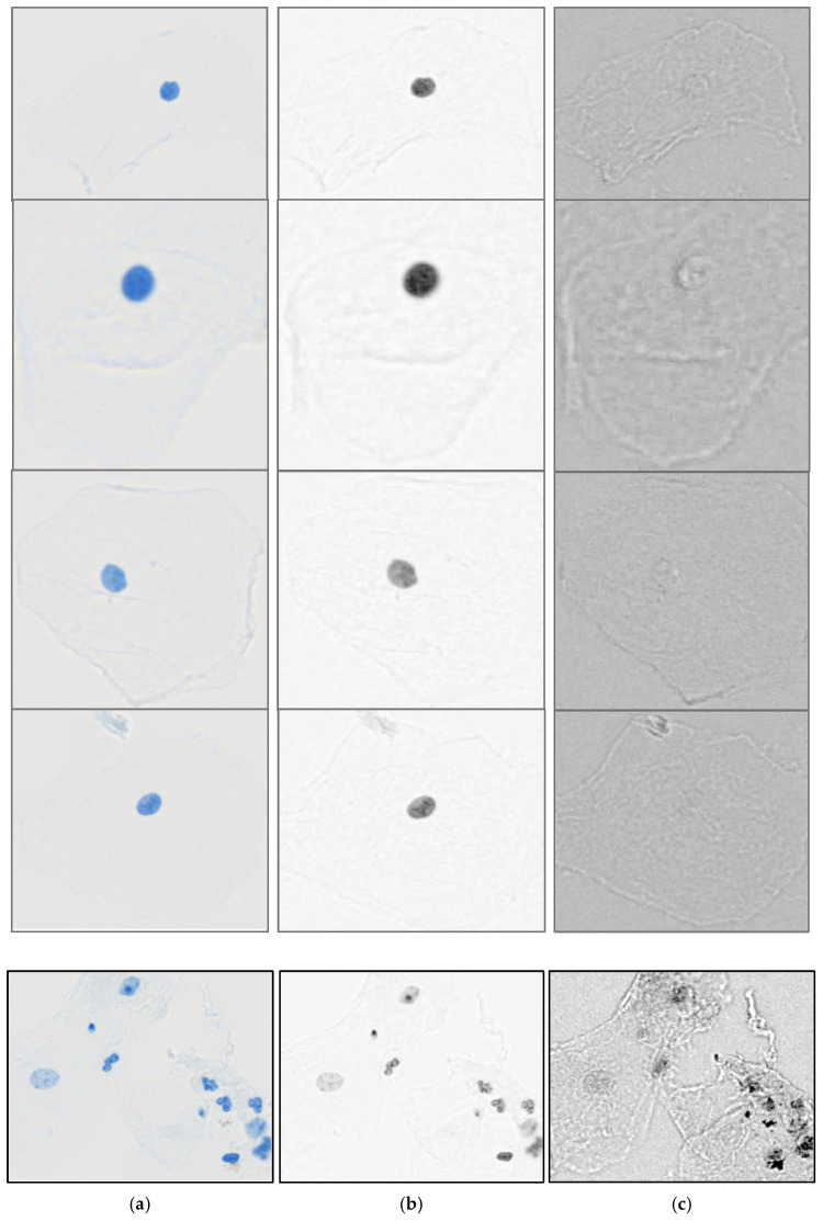 Figure 2