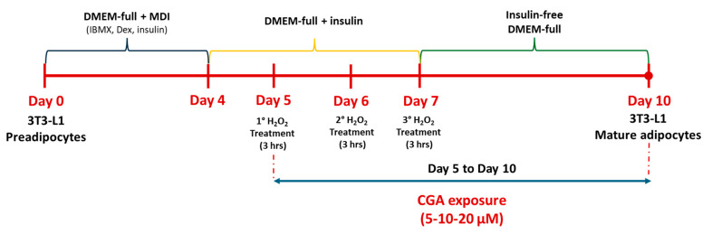 Figure 7
