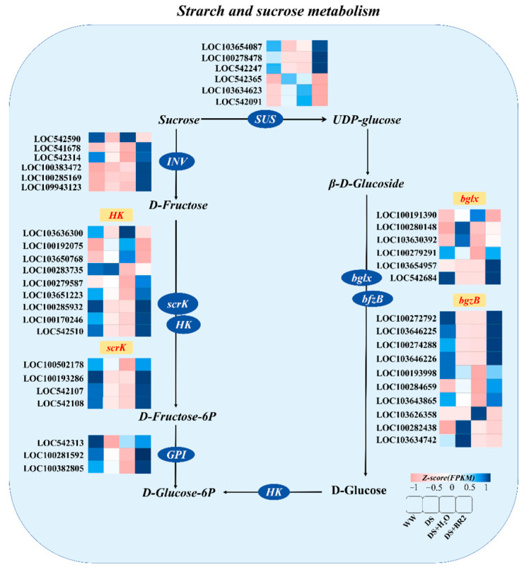 Figure 7