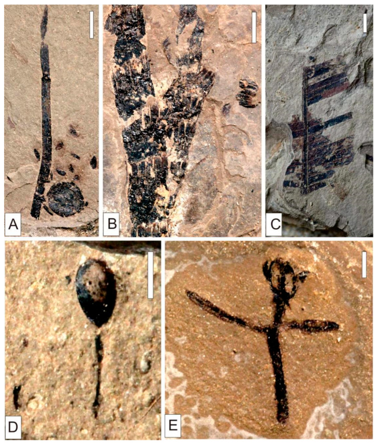 Figure 10